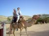 teachers on camels